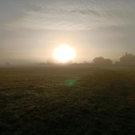Crown Cabin Wiltshire Near Longleat And Bath 트로브리지 외부 사진