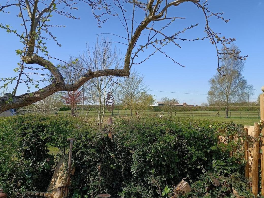 Crown Cabin Wiltshire Near Longleat And Bath 트로브리지 외부 사진