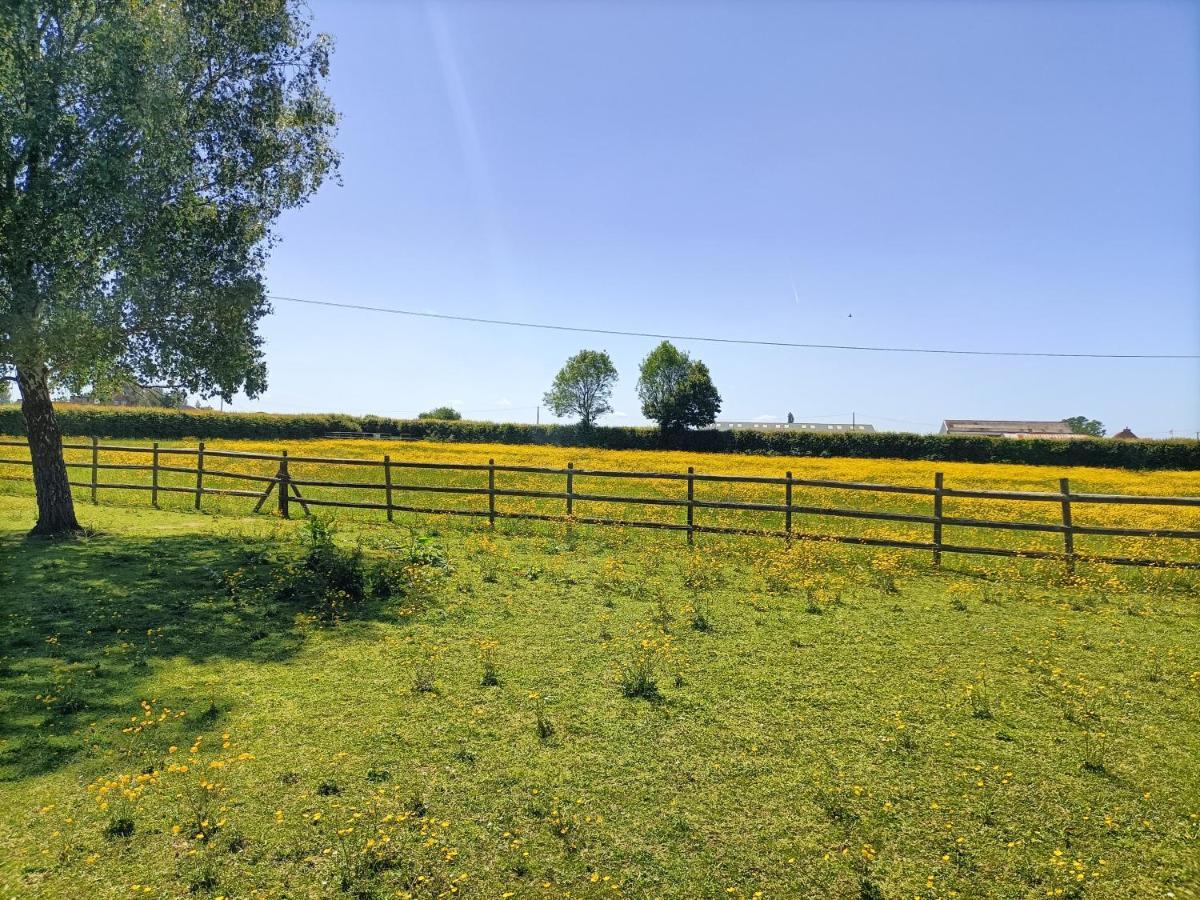 Crown Cabin Wiltshire Near Longleat And Bath 트로브리지 외부 사진